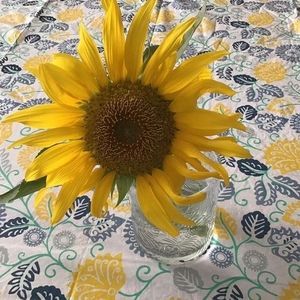 Meet your Posher, Jocelyne